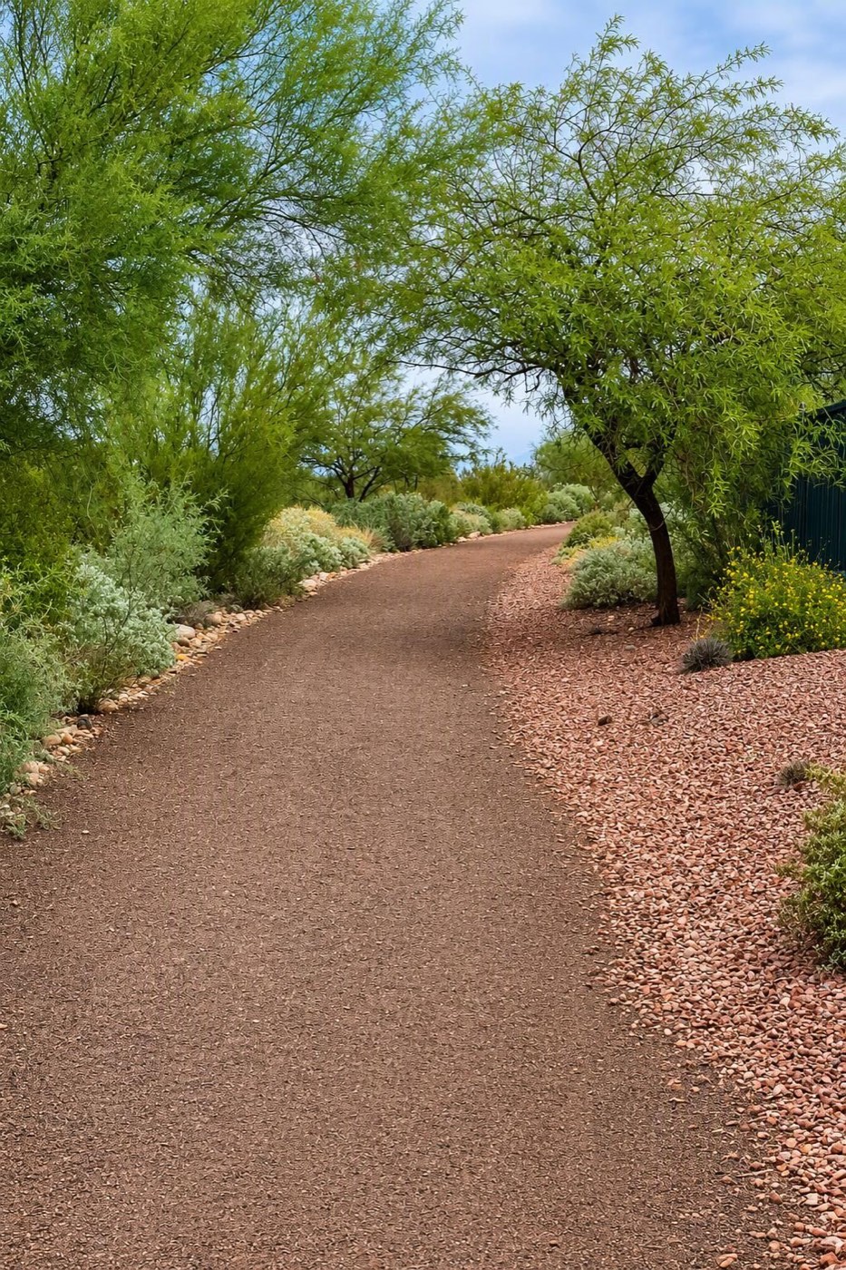 A wide gravel walking trail in Circle Mountain Ranch curving between green desert trees and shrubs