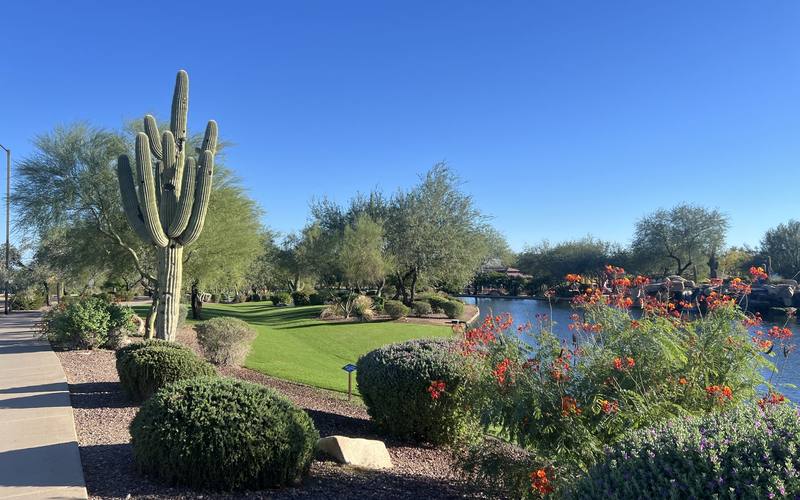 Anthem, Arizona