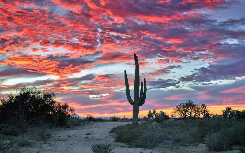 Cave Creek, Arizona
