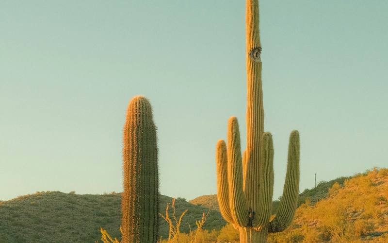 Desert Mountain, Arizona