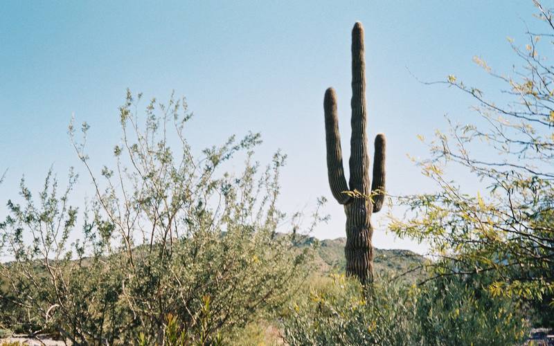 Buckeye, Arizona