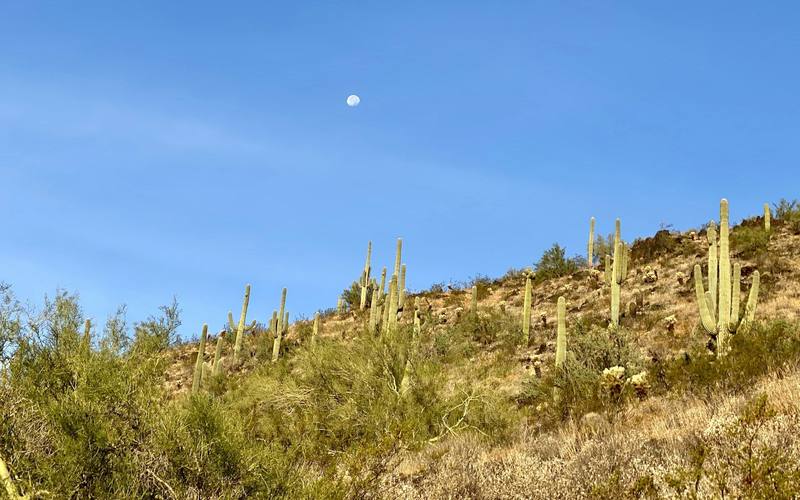 Tatum Ranch, Arizona