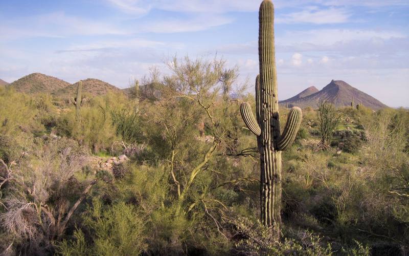 Scottsdale Mountain, Arizona