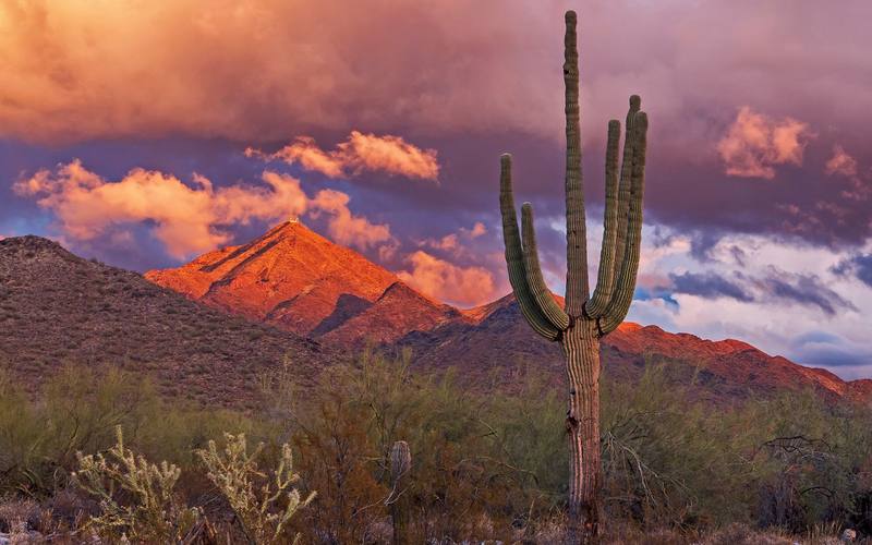 Scottsdale, Arizona