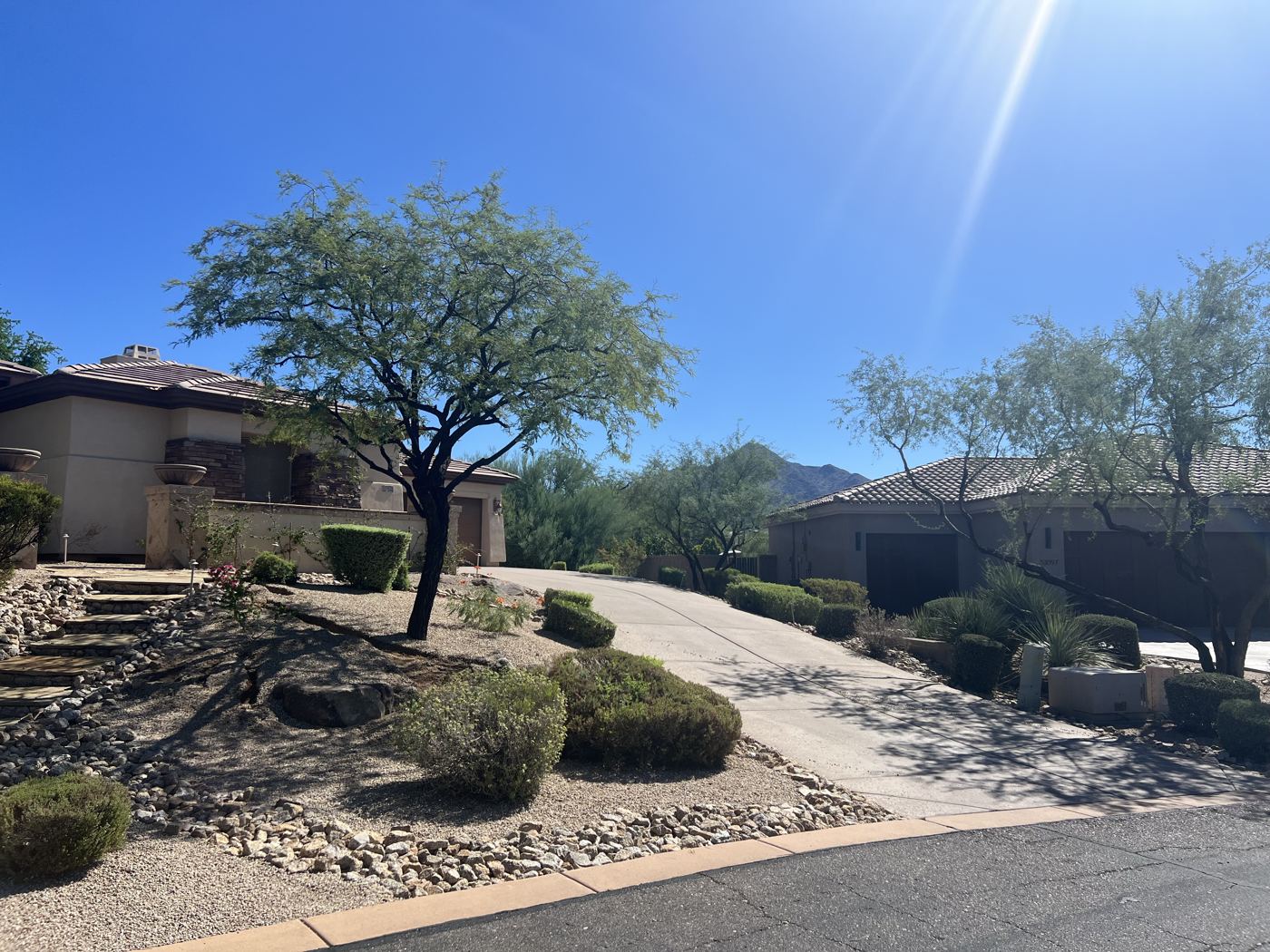Desert-landscaped homes on a sunny street in North Scottsdale