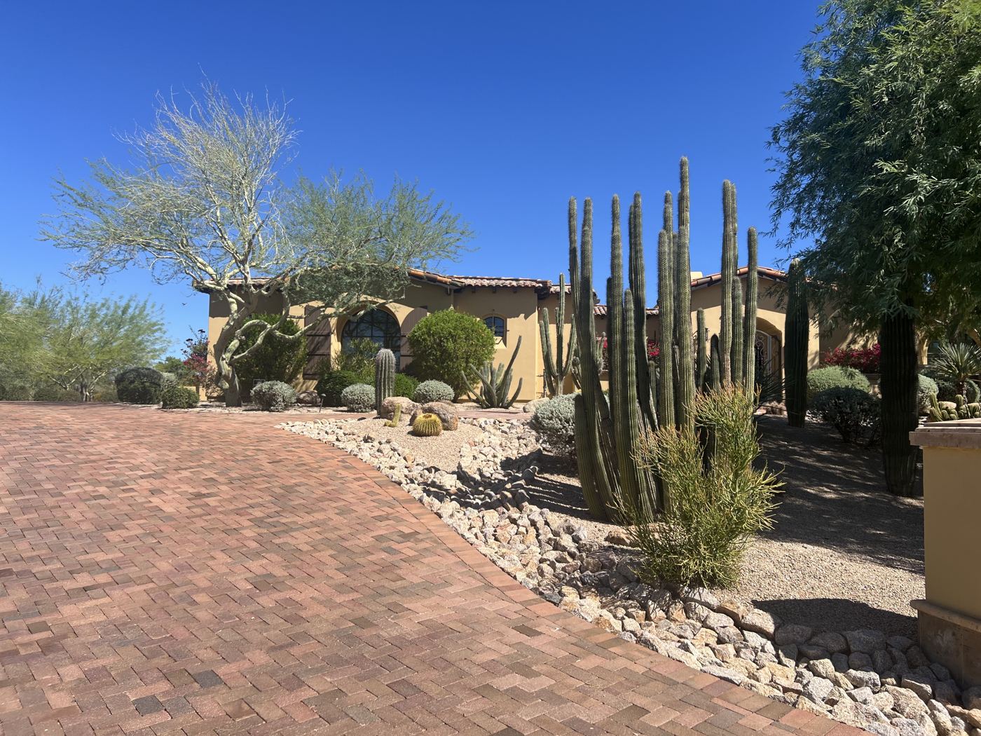 A red brick paver driveway leading to a desert home with tall cactus